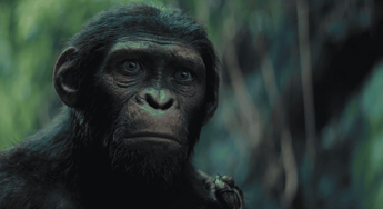 Planeta dos Macacos: O Reinado ganha trailer final; assista