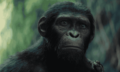 Planeta dos Macacos: O Reinado ganha trailer final; assista