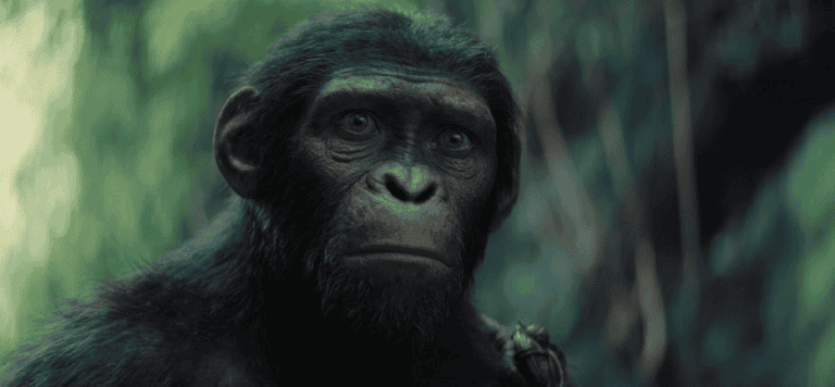 Planeta dos Macacos: O Reinado ganha trailer final; assista