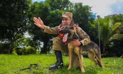 Além de bombeiros e doações, Acre envia cães farejadores ao Rio Grande do Sul