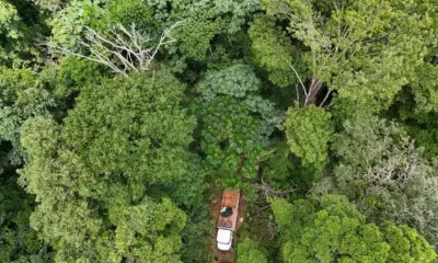 Operação apreende caminhão que transportava madeira ilegal no Amapá