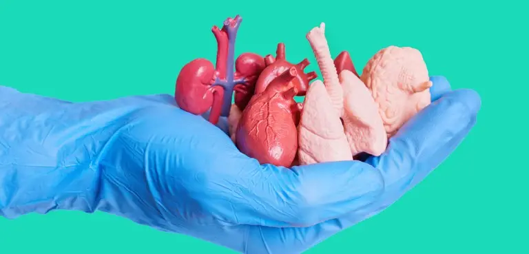 Em um mês, cartórios do Acre registram 12 interessados em doar órgãos