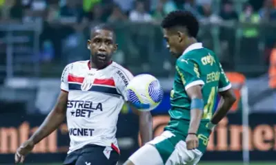 Estevão salva e Palmeiras vence Botafogo na Copa do Brasil