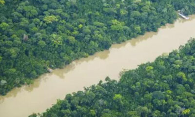 R$ 293 milhões são cobrados em ações contra infratores ambientais no Pará