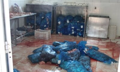 Operação apreende 3,8 toneladas de carne bovina clandestina