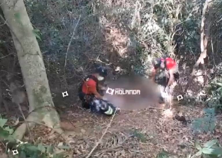 Bombeiros tentam resgatar corpo de homem decapitado em matagal