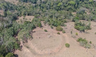 Dois novos geoglifos são encontrados na área da Reserva Extrativista Chico Mendes