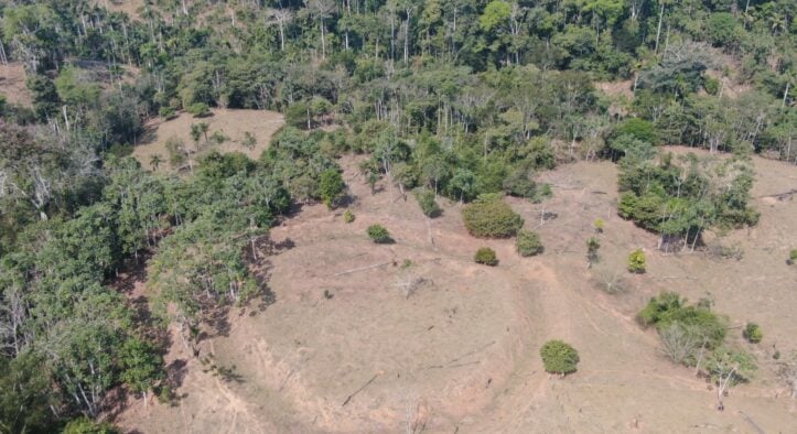 Dois novos geoglifos são encontrados na área da Reserva Extrativista Chico Mendes