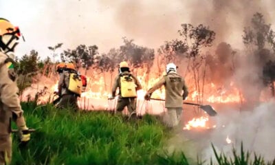 Cruzeiro do Sul tem mais que o dobro de queimadas em relação ao último mês