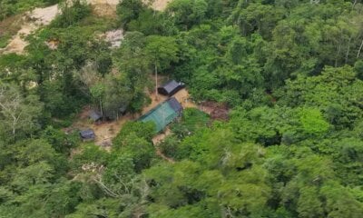Greenpeace denuncia avanço de garimpo ilegal na Terra Yanomami