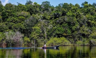 Hepatite Delta tem aumento entre ribeirinhos no Amazonas