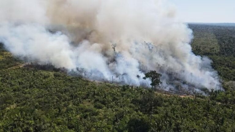 Incêndio no Parque Estadual Guajará-Mirim já dura 13 dias