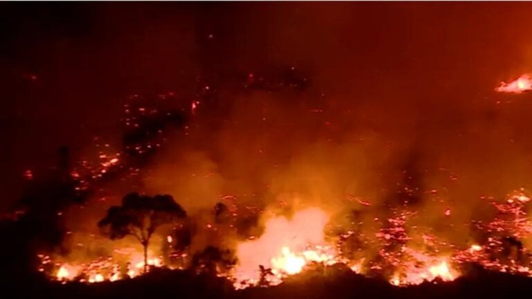 Focos de queimadas no Amazonas já superam julho de 2023