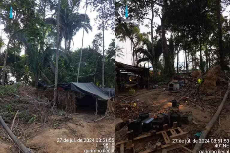 Ibama e Exército flagram garimpo ilegal com acampamento em Rondônia