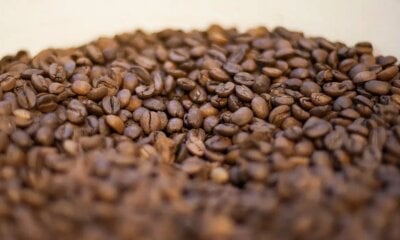 Conheça os elementos que tornam o café torrado impróprio para consumo