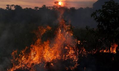 Unicef alerta sobre qualidade do ar insalubre em cidades do Amazonas