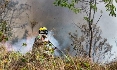 Aumento de queimadas faz Jordão pedir ajuda aos bombeiros no Acre