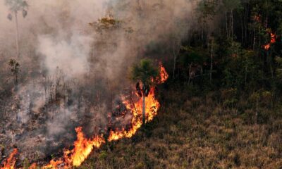 Acre fecha julho com 17.200 hectares de cicatrizes de queimadas