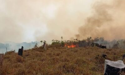 Juruá tem primeiras prisões em flagrante por incêndio florestal