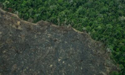 Terra Indígena Karipuna de Rondônia tem cenário de incêndio e seca