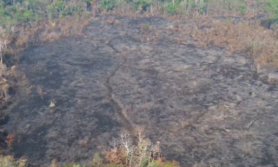 Fogo queima mais de 100 hectares em terra indígena na Serra do Divisor