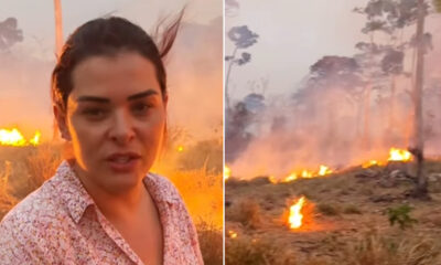 Incêndio criminoso destrói fazenda no Acre: “30 anos de trabalho e suor”