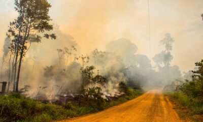 Acre registra 2% do desmatamento da Amazônia Legal em abril, diz Imazon