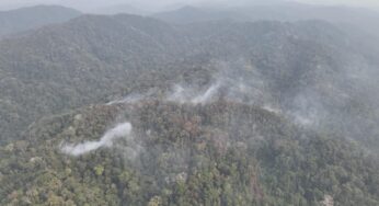 Após 3 dias, incêndio que atingiu mais de 14 hectares na Serra do Divisor é controlado