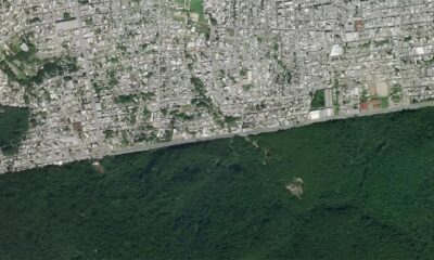 Manaus tem somente 3% de área verde urbana