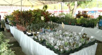 Feira da Flores leva diversão e empreendedorismo feminino na Praça da Revolução