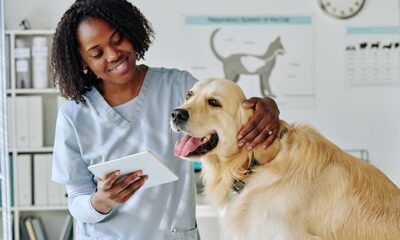 Ufac abre inscrições pós-graduação em Medicina Veterinária