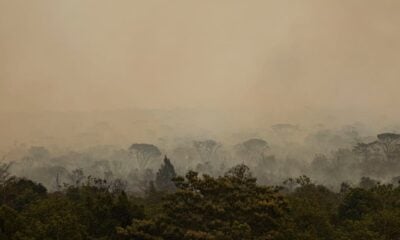 Registro de queimadas em setembro é 30% maior que a média do mês