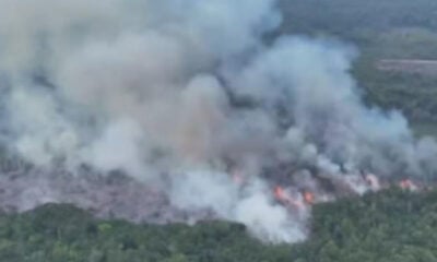 Pará é responsável por quase metade dos incêndios florestais na Amazônia