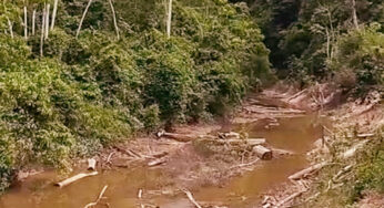Seca do Rio Jurupari faz comunidade andar 4 dias para chegar a Feijó