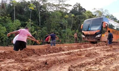 MPF pede suspensão do licenciamento de obras na BR-319, entre AM e RO