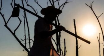 Por que o Acre tem aparente ausência de conflitos agrários?