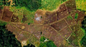 MPF apura irregularidades em certificação de imóveis rurais no Acre