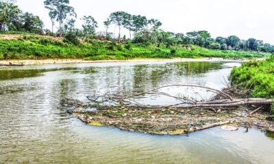 Alta temperatura, seca e pouco oxigênio causaram mortandade de peixes no Acre