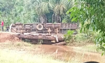 Caminhão que transportava gado tomba em Rodrigues Alves