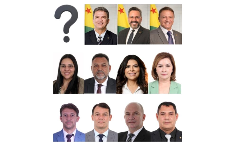 Como andou votando seu representante?