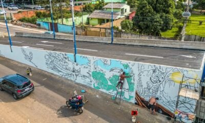 Pinturas no elevado da Dias Martins iniciam e devem ser concluídas em até 40 dias