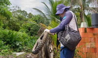 Cruzeiro do Sul tem redução de 19% nos casos de dengue