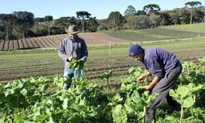 Acre institui Programa de Compras Governamentais da Agricultura Familiar e Economia Solidária