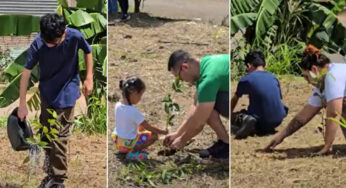 Projeto “Uma Vida, Uma Árvore” promove reflorestamento e simboliza renovação espiritual