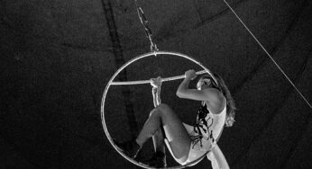 Exposição “O Circense” retrata essência do mundo do circo na Usina de Arte