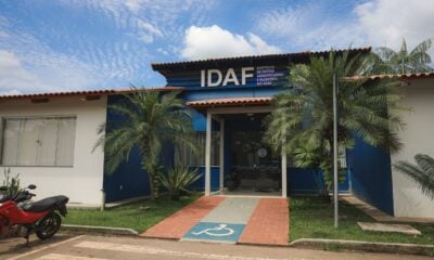 Comissionados desqualificados assumem cargos estratégicos no Idaf e causam revolta