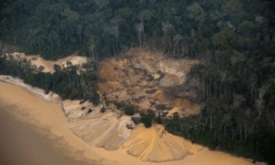 Degradação florestal na Amazônia é a pior em nove anos, aponta Imazon