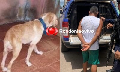 Idoso é preso em Porto Velho por crime de zoofilia com cadela