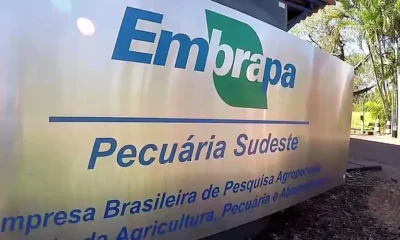 Com provas no Acre, Embrapa prorroga inscrições em concurso público