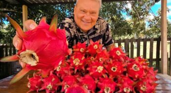 Conheça a pitaya produzida no Acre: orgânica, sem agrotóxico e com sabor